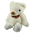 SVAT Wireless Camera Hidden in a Teddy Bear with Receiver (Color)