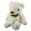 SVAT Wireless Camera Hidden in a Teddy Bear with Receiver (Color)