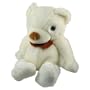 SVAT Wireless Camera Hidden in a Teddy Bear with Receiver (Color)