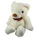 Photo : SVAT Wireless Camera Hidden in a Teddy Bear with Receiver (Color)