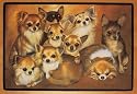 Heaps of Fun Chihuahua Gallery Mat