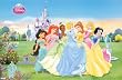 Disney Princess Collection Movie Poster Print - 22x34 Poster Print, 34x22