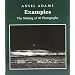 Examples: The Making of 40 Photographs