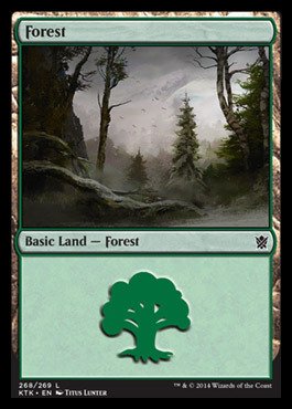 Magic: the Gathering - Forest (268/269) - Khans of Tarkir - Foil