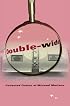Double-wide: Collected Fiction of Michael Martone (Quarry Books)