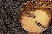 Gourmet Food : My Grandma's Chocolate Chip Coffee Cake