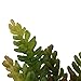 Generic Artificial 7-branch Bunch Succulent Floral Foliage Fake Plant Home Decor