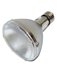 Home Improvement: GE 22159 - 70 Watt - PAR30L Flood - ConstantColor - Pulse Start - Metal Halide - 3000K - ANSI M139/M98/O - CMH70/PAR30L/830FL - GE