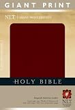 Holy Bible, Giant Print NLT (Holy Bible: Nltse) image