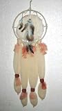 Authentic Aztec Indian Mandella Mandala Turquoise Bead Dream Catcher Dreamcatcher