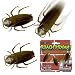 Club Earth Roach-O-Rama by Play Visions