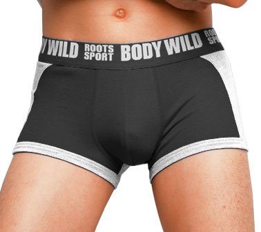 グンゼ BODY WILD ROOTS-SPORT ボクサーブリーフ BWR080SA