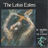 IT HURTS 7 INCH (7" 45) UK ARISTA 1985