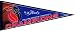 Detroit Pistons 2004 NBA East Conference Champions Pennant