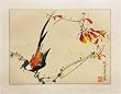 Chinese Sumi-e Brush Painting Art, Watercolor on Paper - Bird with Long Tail on Branch Chinese Sumi-e Brush Painting Art, Watercolor on Paper - Bird with Long Tail on Branch
