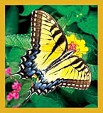 Tiger Swallowtail Butterfly Bookmark