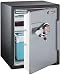 Tools & Hardware : Sentry OA5889 Safe Electronic Safe, 2.0 Cubic Feet, Black & Gunmetal Gray