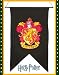 Discontinued Harry Potter Rare Gryffindor Banner Flag