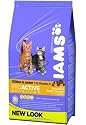 Iams Kitten and Junior 10 Kg