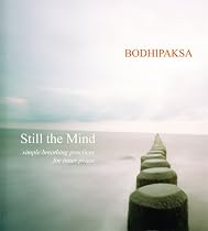 Still the Mind: Simple Breathing Practices for Inner Peace