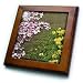 Spring Flowers - Pink Dogwood Tree - Floral Photography - 8x8 Framed Tile