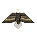 X-Kites Birds of Feather - 54 inch Eagle Kite