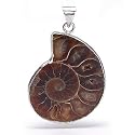Silver Plated Copper Ammonite Fossil Pendant with FREE 925 Sterling Silver Chain