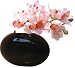 �s���ԁE�ԕr�tF-style vase Cymbidium�i�V���r�W�E���j