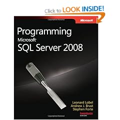 Programming Microsoft SQL Server 2008 (PRO-Developer)
