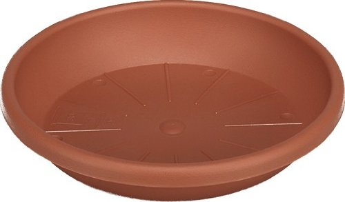 Sienagardg 897748 Kastenhalter verz.Gigant terra montiert Preisvergleich