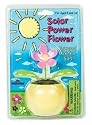 Solar Powered Flower Pot & Plant