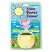 Solar Flower Toy