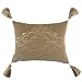 Fieldcrest® Luxury Embroidered Pillow - Root Beer Float