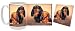 dachshund19 - Longhaired Dachshund Mug Coaster Gift Box Combo DogPuppyCanine