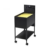 LLR60176 - Economy File, F/Letter Folders, 13-1/2x17-1/2x28, Black