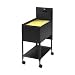LLR60176 - Economy File, F/Letter Folders, 13-1/2x17-1/2x28, Black