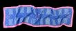 Rectangular Scarf 55" X 15" Colonial Buildings in Blue