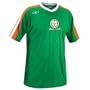 Xara International Series Ireland Short Sleeve Jersey, Adult Large