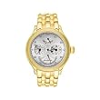 Christophe Skye - Dualtimer BG Automatic Gold-tone All Stainless Steel Watch. Model: CS-843332001648