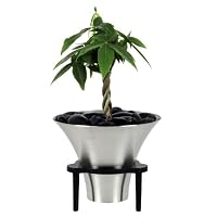 Oso Polar Indoor & Tabletop Planter Kit - Vase Style - Aluminum