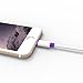 Walnut Lightning to USB Cable 4ft / 1.2m with Ultra-Compact Connector Head for iPhone 6 6Plus 5s, iPad Air mini2, iPad 4th gen, iPod touch 5th gen, and iPod nano 7th gen (Purple)