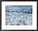 A Dramatic Winter Scene of a Snow-Covered Graveyard National Geographic Collection Framed Art Poster Print by David Boyer, 22x18