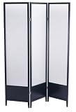 Review Adesso WK2020-01 / Adesso Toronto Folding Screen, Black