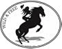 HORSE & GIRL - WILD & FREE - Equine - Love for Horses -Oval Auto Decal-Bumper Sticker for the women horse rider- Can be used for Cars, Trucks, Notebooks etc.