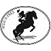 HORSE & GIRL - WILD & FREE - Equine - Love for Horses -Oval Auto Decal-Bumper Sticker for the women horse rider- Can be used for Cars, Trucks, Notebooks etc.
