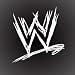 WWE DECAL STICKER 5X5