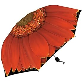  Coynes Harold Feinstein Orange Gerber Daisy Folding Umbrella
