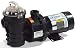 Self-Priming Pump 1/6 HP