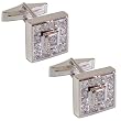 Studs for Men Sterling Silver Zircon Gemstone Set (cflng262)