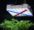 LED Grow Light Panel